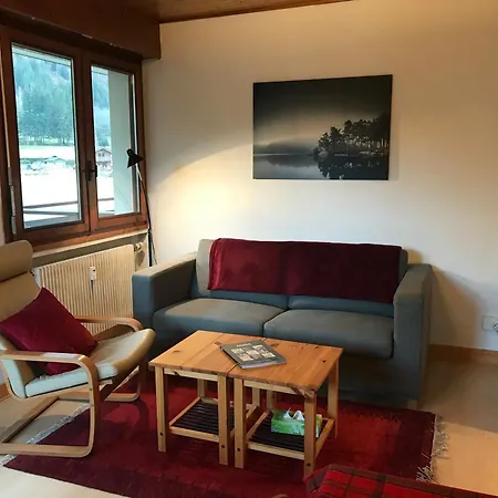 T2 Avec Balcon, Accepte Animaux - Fr-1-507-45 Chamonix